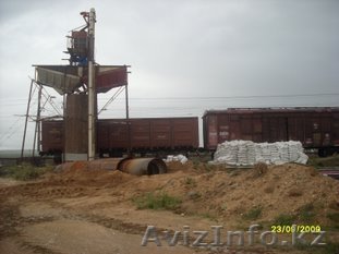 Кормовую ракушку для птицефабрик и корбикормовых заводов - Изображение #1, Объявление #26156