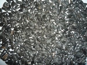 Семечки подсолнечника калиброванные - Изображение #1, Объявление #649079