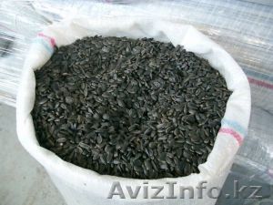 Подсолнечник кондитерских сортов калиброванный - Изображение #1, Объявление #649084