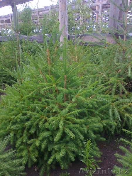 Хандыс Игорь, 8 777 879 1551, 8 777 879 14 41 - Изображение #1, Объявление #762676