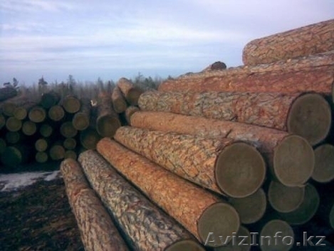 пиломатериалы из хвойных пород - Изображение #1, Объявление #793663