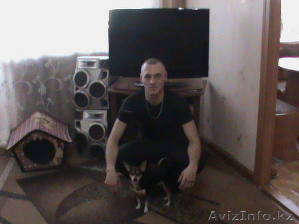 Продам срочно почку - Изображение #1, Объявление #804860