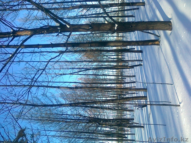 продаю подтоварник - Изображение #1, Объявление #824919