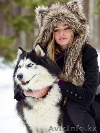 Зверошапки, бижутерия, подарки - Изображение #1, Объявление #1026683