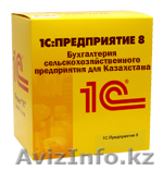 1С в Костанае. Продажа. Установка. Обучение. Сопровождение - Изображение #1, Объявление #1214934