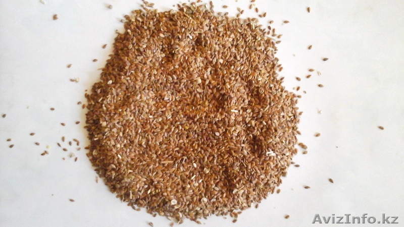 лен,рапс, сафлор,горчицу,нут - Изображение #1, Объявление #1305736
