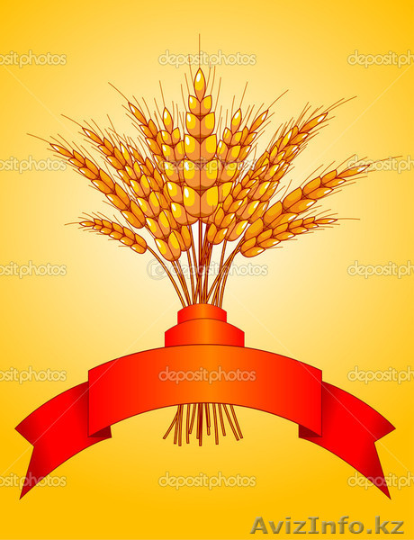 Пшеница,зерно,лен,рапс - Изображение #1, Объявление #1358519