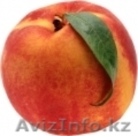 Oптовой продажей свежих овощей и фруктов и мороженый из Польши. - Изображение #1, Объявление #54345