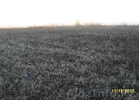 продам земельный участок при выезде из г.Костанай для строительства коммерческой - Изображение #2, Объявление #114648