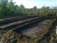 Дача СО "Геолог" 7 соток - Изображение #3, Объявление #669518