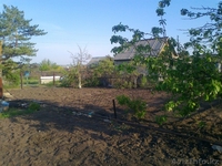 Дача СО "Геолог" 7 соток - Изображение #4, Объявление #669518