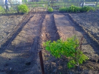 Дача СО "Геолог" 7 соток - Изображение #7, Объявление #669518