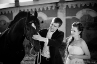 рекламные ролики - корпоративные фильмы - видеосъемка - Изображение #8, Объявление #766139