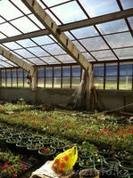 изготовление теплиц, металлоизделий, цех полимерного покрытия - Изображение #4, Объявление #862495