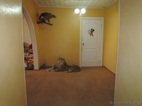 stad_natalya@mail.ru - Изображение #8, Объявление #869497