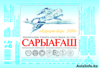 минеральная природная вода САРЫАГАШ - Изображение #2, Объявление #408552