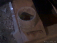 Поршня на Газ-52 ,размер 83.5 мм - Изображение #2, Объявление #1093874