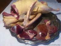 Мясо фермерского ГУСЯ - Изображение #1, Объявление #1188756