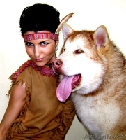 Маламуты с Аляски - Изображение #2, Объявление #1215929