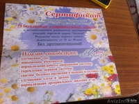 Лечитесь во сне волшебной подушкой Асония! - Изображение #1, Объявление #1321332