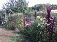 Продам квартиру в п. Боровское  - Изображение #3, Объявление #1526499