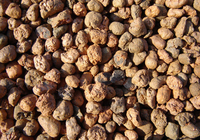 ПРОДАМ КЕРАМЗИТ в мешках и биг-бэгах - Изображение #1, Объявление #1656126