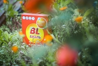 House cleaninG приглашает для сотрудничества - Изображение #3, Объявление #1672593