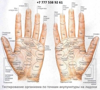 Диагностика организма за 15 минут - Изображение #1, Объявление #1718763