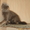Шотландские вислоухие котики - Изображение #4, Объявление #399382