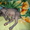 котята донского сфинкса черного окраса с отл.родословной - Изображение #3, Объявление #459549