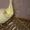 Попугай корелла и волнистый - Изображение #1, Объявление #664462
