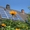 Автономные солнечные энергосистемы #738972