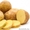 Картошка Костанай - Изображение #2, Объявление #1314129
