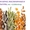 Экспорт зерновых, масличных, бобовых крупным оптом с Казахстана, тел. +777860161 - Изображение #2, Объявление #1697614