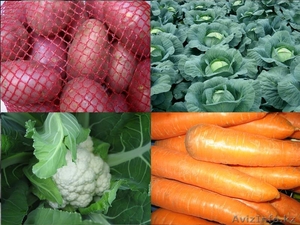 Продам картофель продовольственный