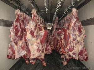 мясо говядины  - Изображение #1, Объявление #398971