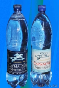 сарыагаш барс