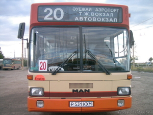 Автобус MAN-городской - Изображение #1, Объявление #1265894