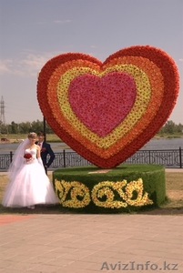 Видео-фото услуги сьемка свадьбы  - Изображение #3, Объявление #1292959