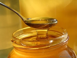 мед гречишный, донниковый, подсолнух - Изображение #1, Объявление #1334970