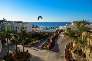 Работа в ОАЭ