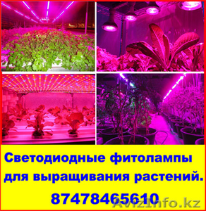 Светодиодные фитолампы для выращивания растений.   - Изображение #1, Объявление #1383981