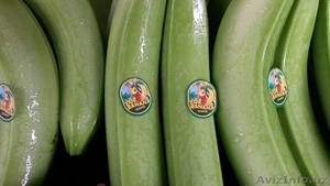 Бананы IMPERIAL - Изображение #4, Объявление #618634