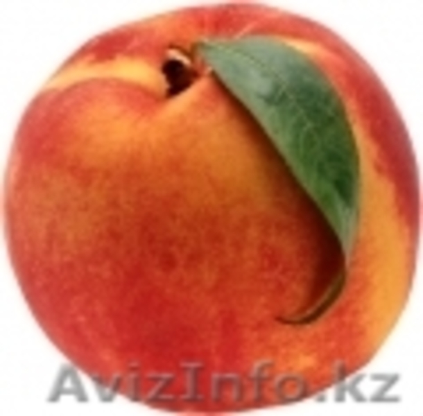 Oптовой продажей свежих овощей и фруктов и мороженый из Польши. - Изображение #1, Объявление #54345