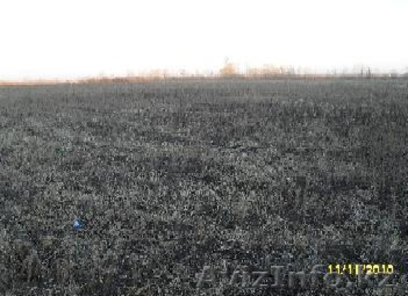 продам земельный участок при выезде из г.Костанай для строительства коммерческой - Изображение #2, Объявление #114648