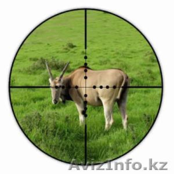 Прицел Bushnell Yardage Pro 4-12x42 Laser (Mil-Dot) со встроенным дальномером - Изображение #2, Объявление #128394