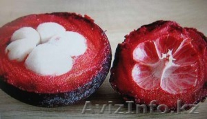 Xango-натуральный сок  - Изображение #4, Объявление #207230