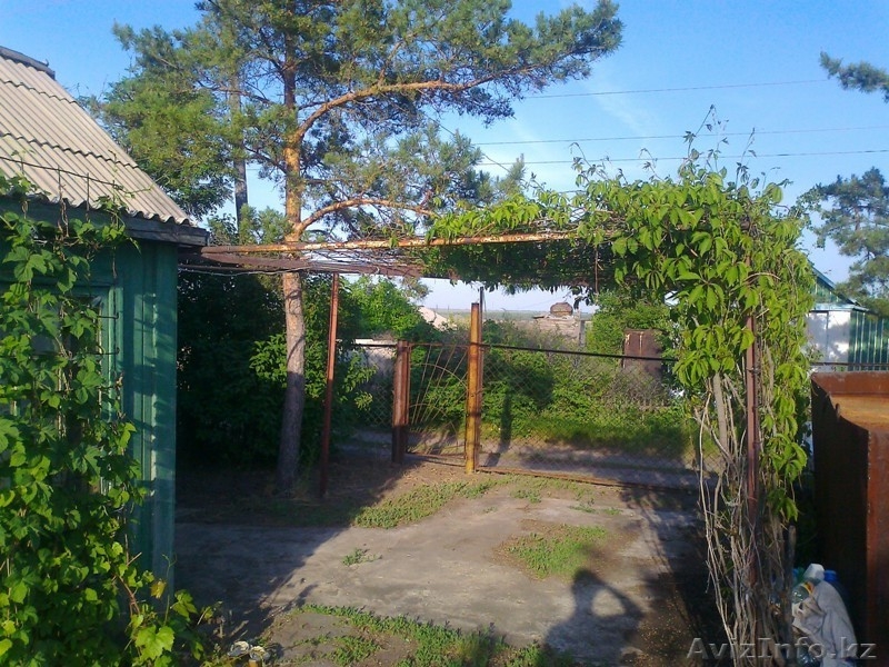 Дача СО "Геолог" 7 соток - Изображение #2, Объявление #669518