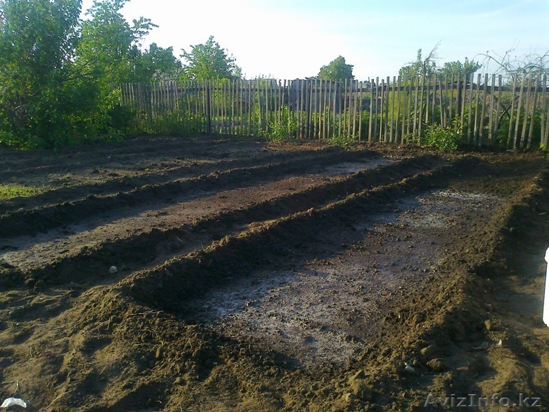 Дача СО "Геолог" 7 соток - Изображение #3, Объявление #669518