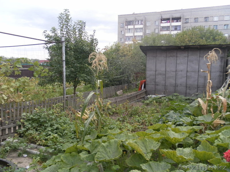 Срочно срочно продам дом - Изображение #3, Объявление #756356